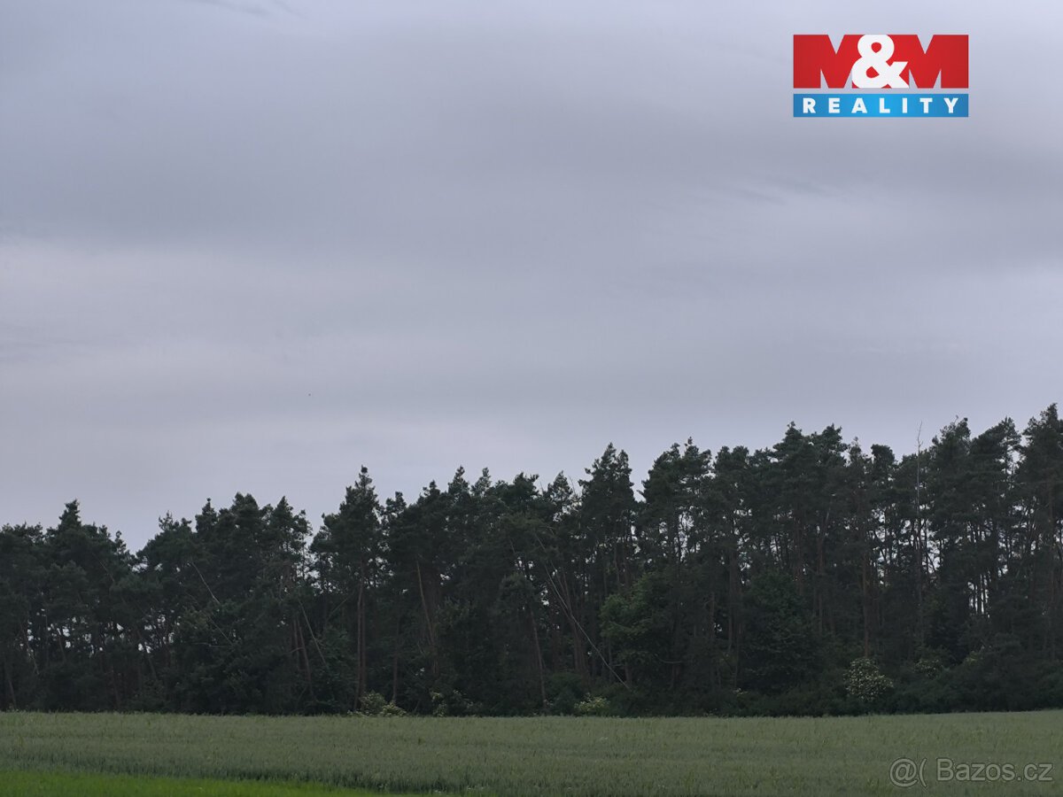 Prodej lesa, 20 128 m², Střelské Hoštice