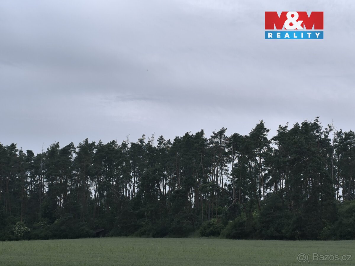 Prodej lesa, 20 128 m², Střelské Hoštice