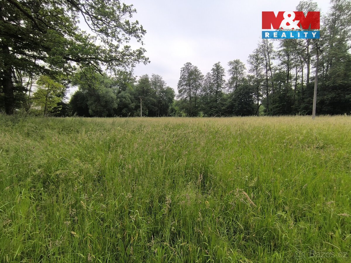 Prodej lesa, 20 128 m², Střelské Hoštice