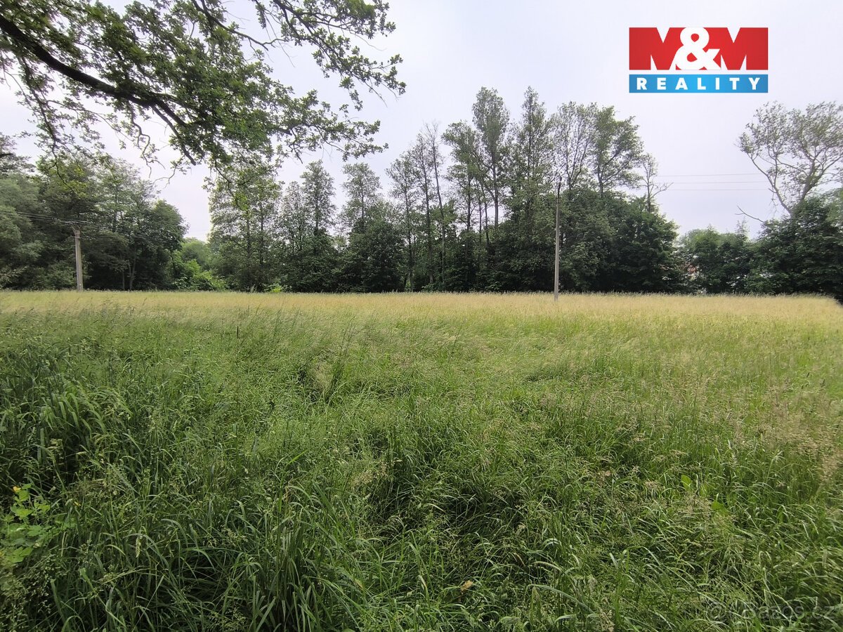 Prodej lesa, 20 128 m², Střelské Hoštice