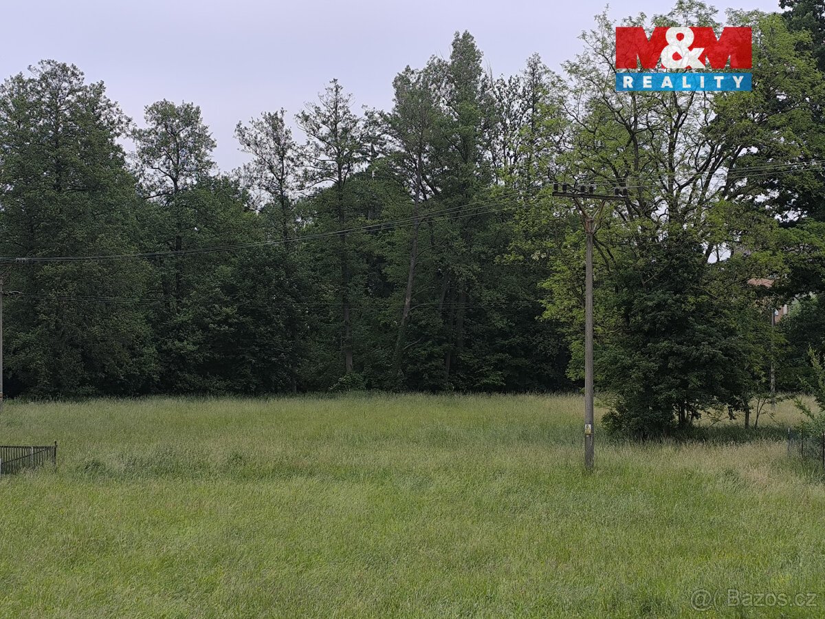 Prodej lesa, 20 128 m², Střelské Hoštice