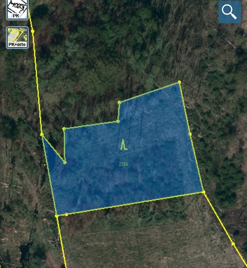 Lesní pozemek Kožichovice