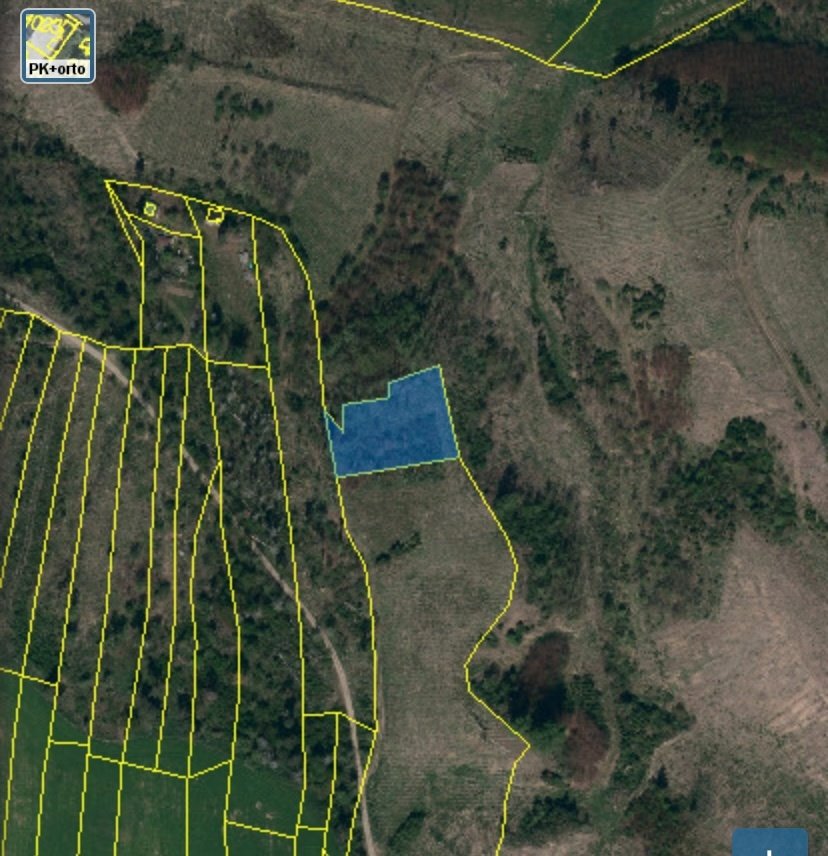 Lesní pozemek Kožichovice