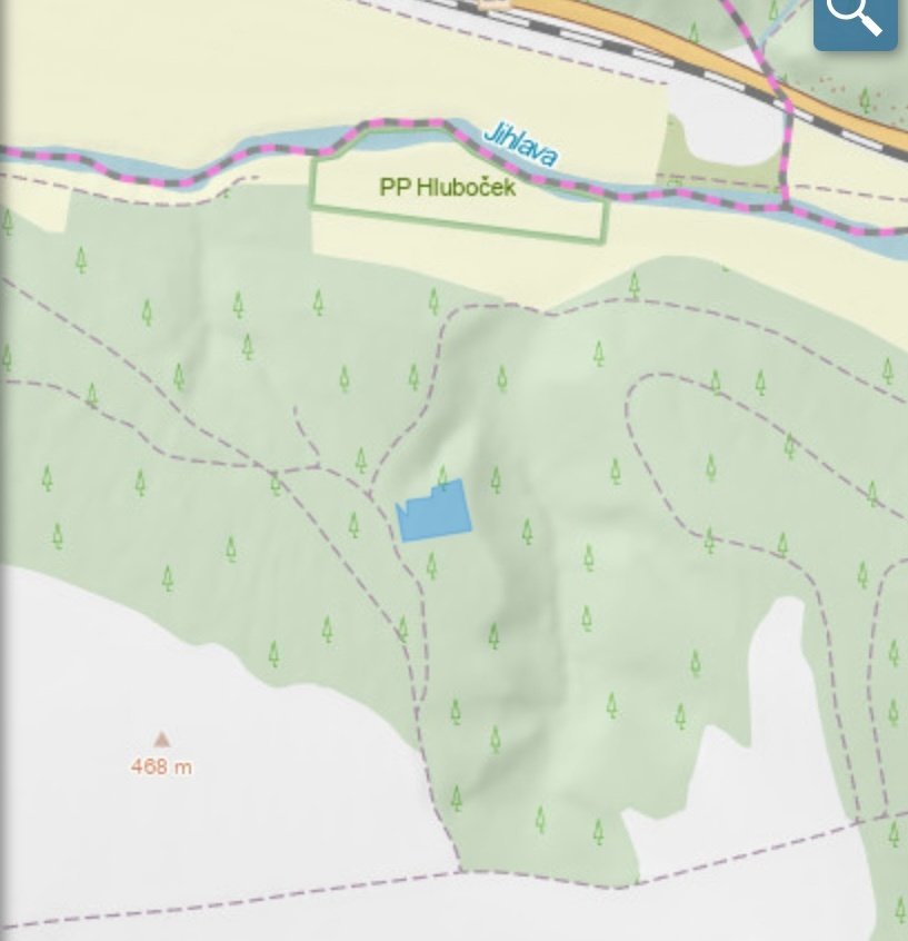 Lesní pozemek Kožichovice