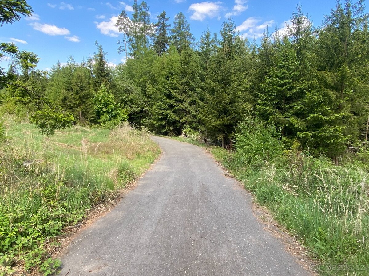 Lesní pozemky Kladruby u Vlašimi