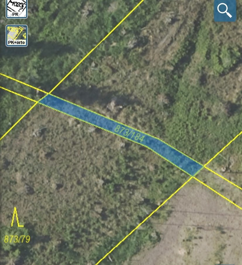 Lesní pozemky Kladruby u Vlašimi