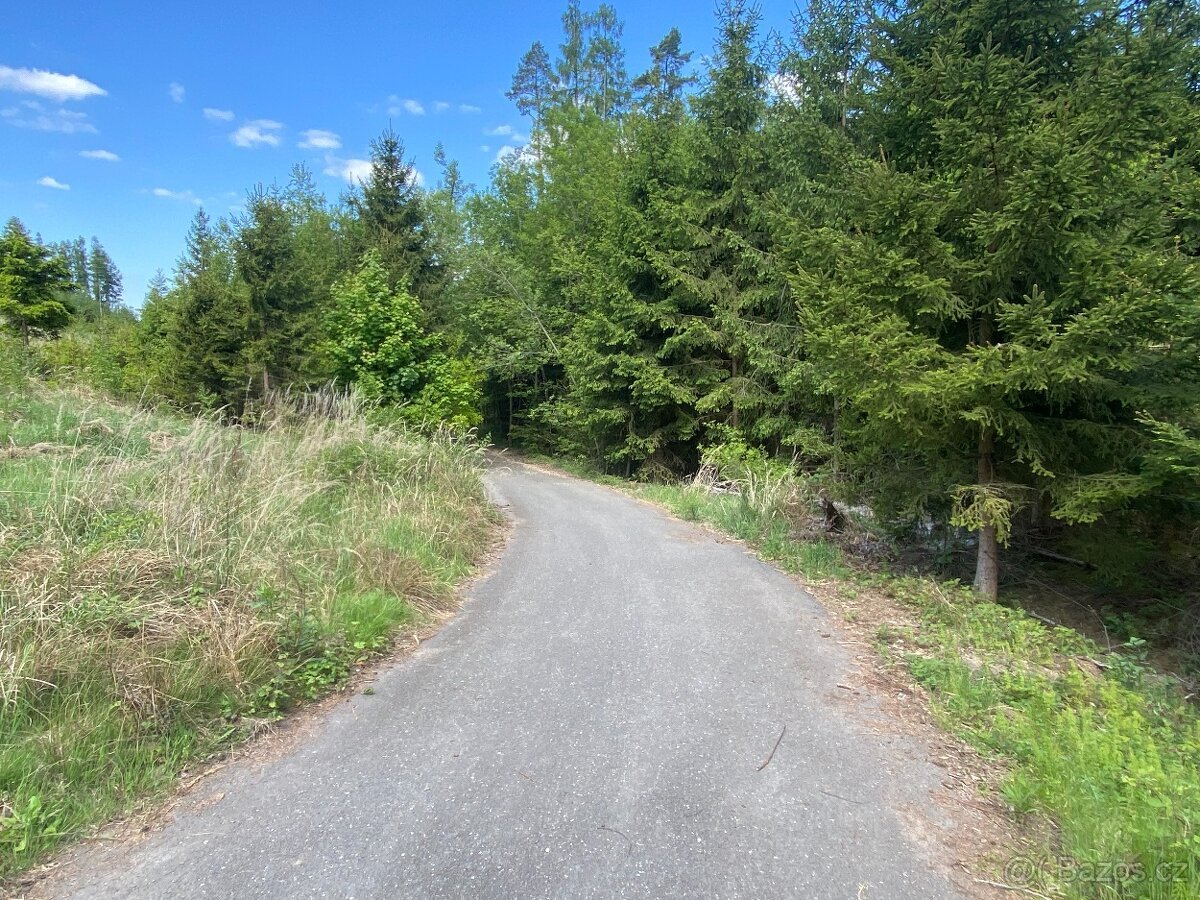 Lesní pozemky Kladruby u Vlašimi