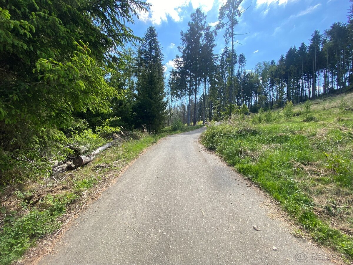 Lesní pozemky Kladruby u Vlašimi
