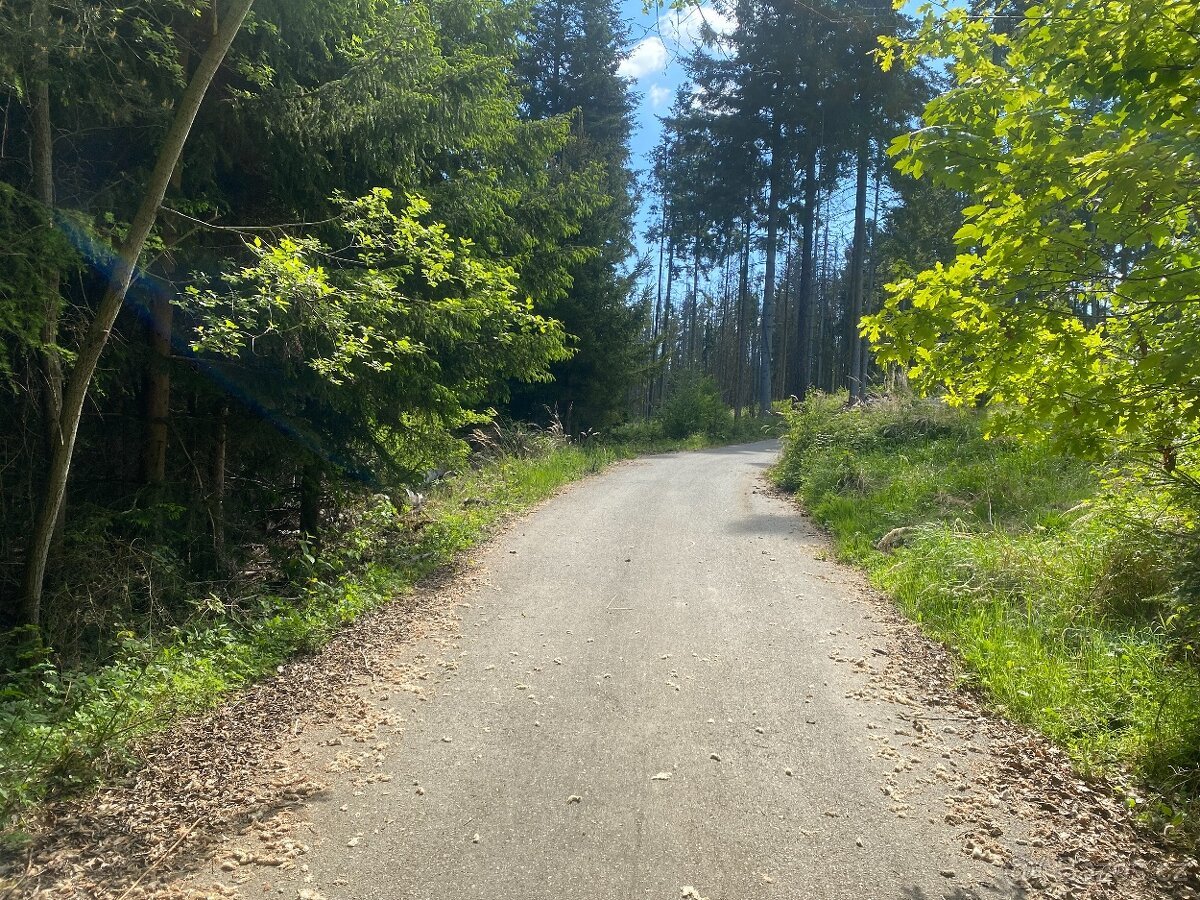Lesní pozemky Kladruby u Vlašimi