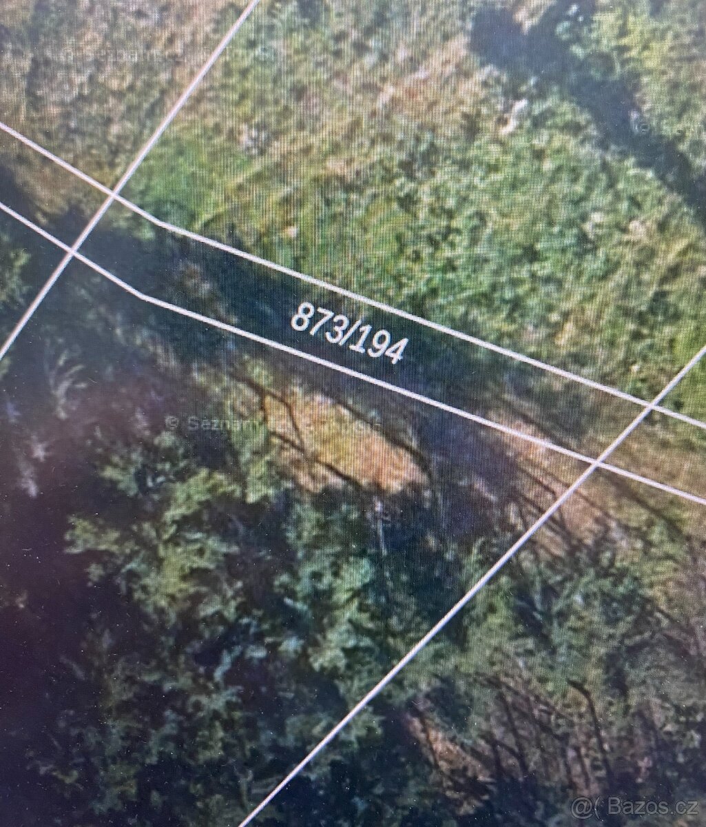 Lesní pozemky Kladruby u Vlašimi