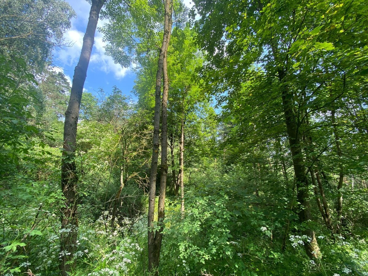 Lesní pozemek Pozďátky