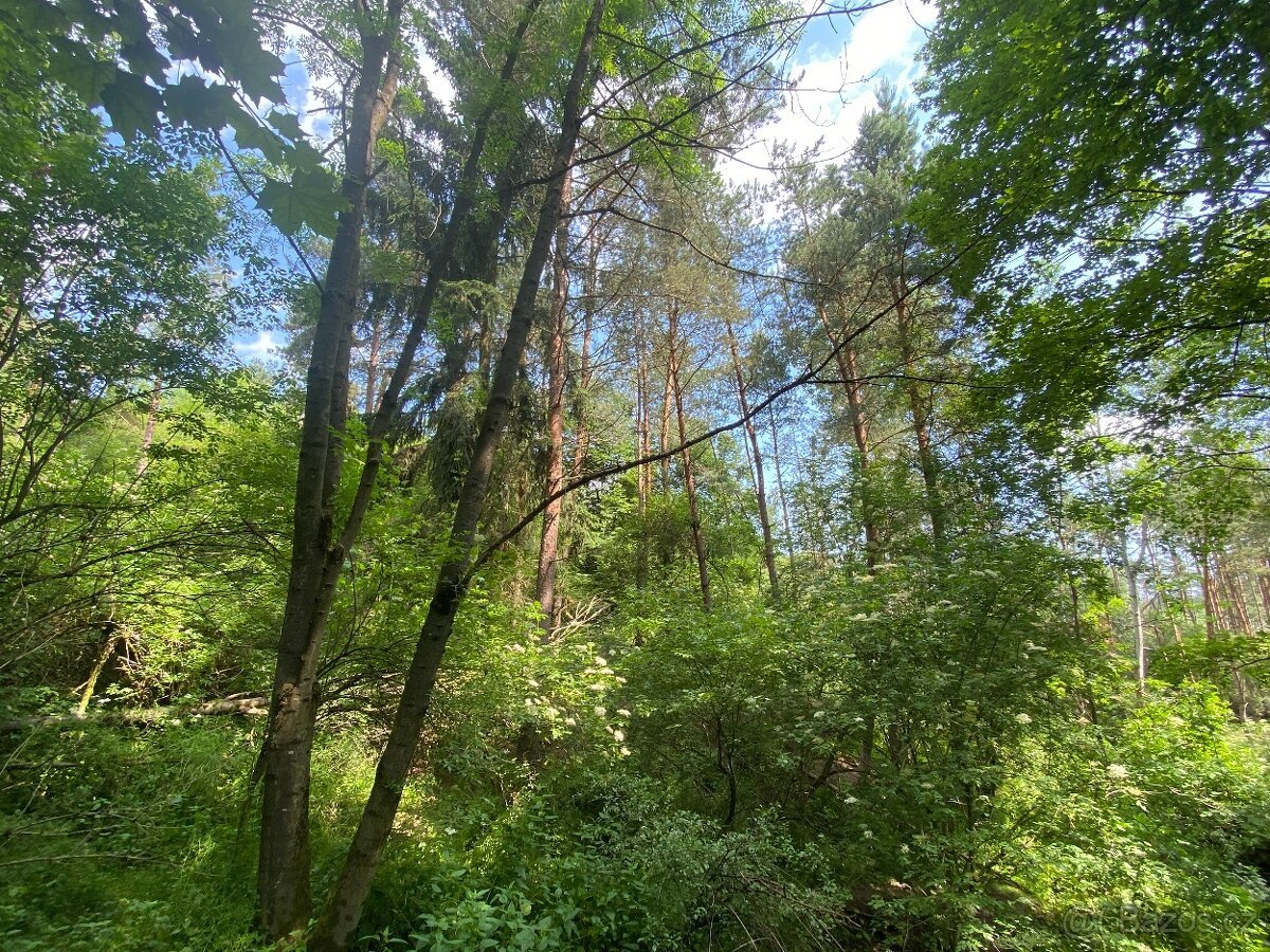 Lesní pozemek Pozďátky