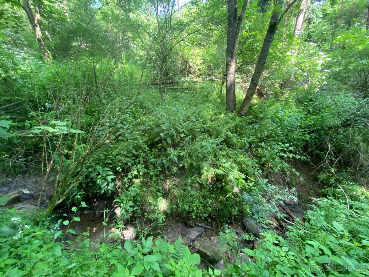 Lesní pozemek Pozďátky