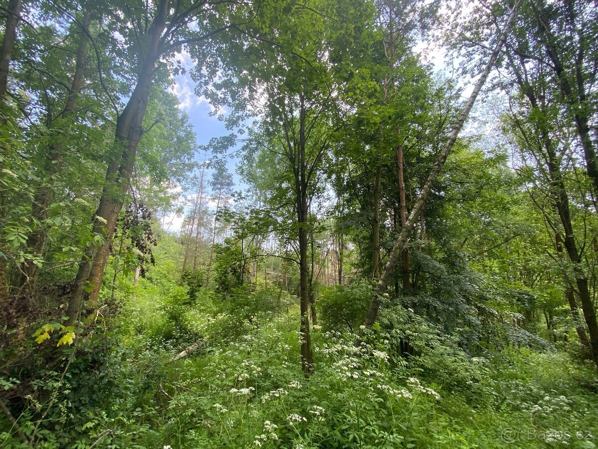 Lesní pozemek Pozďátky