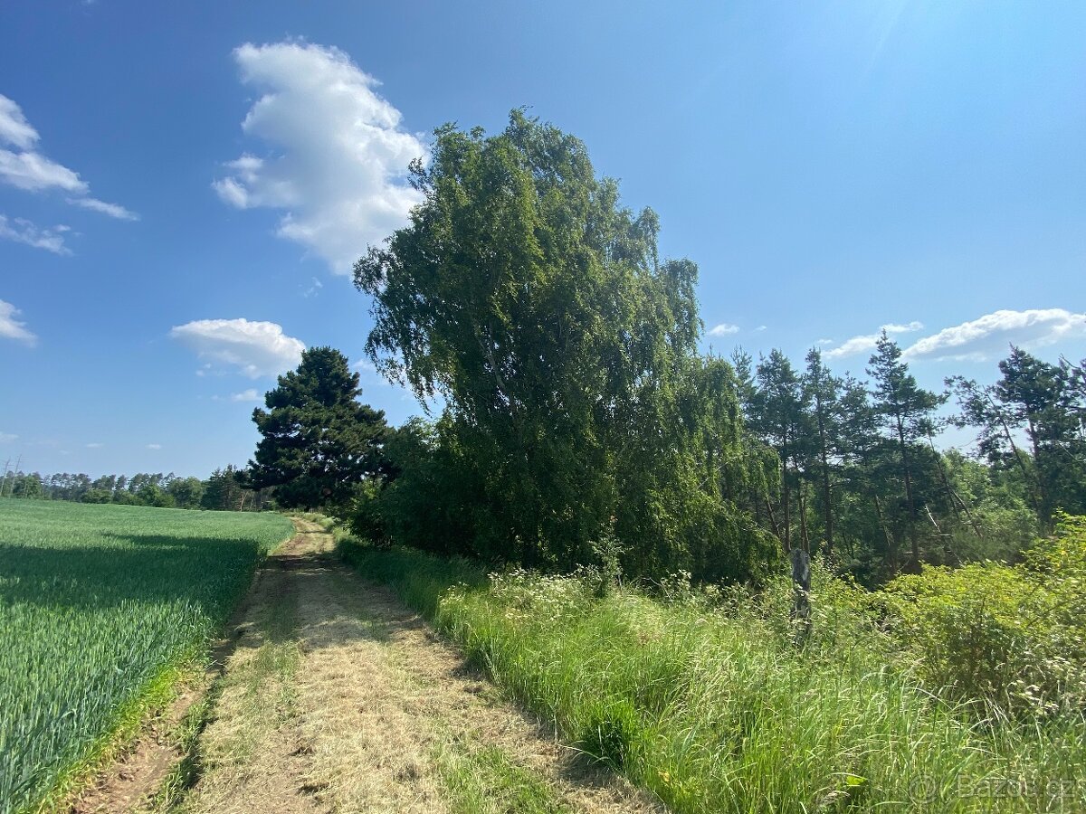 Lesní pozemek Pozďátky