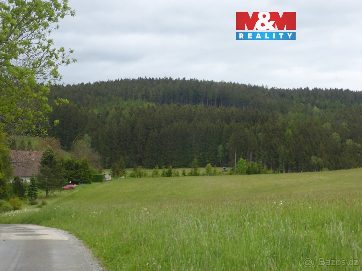 Prodej lesa, 26000 m², Vysoká Srbská, okres Náchod