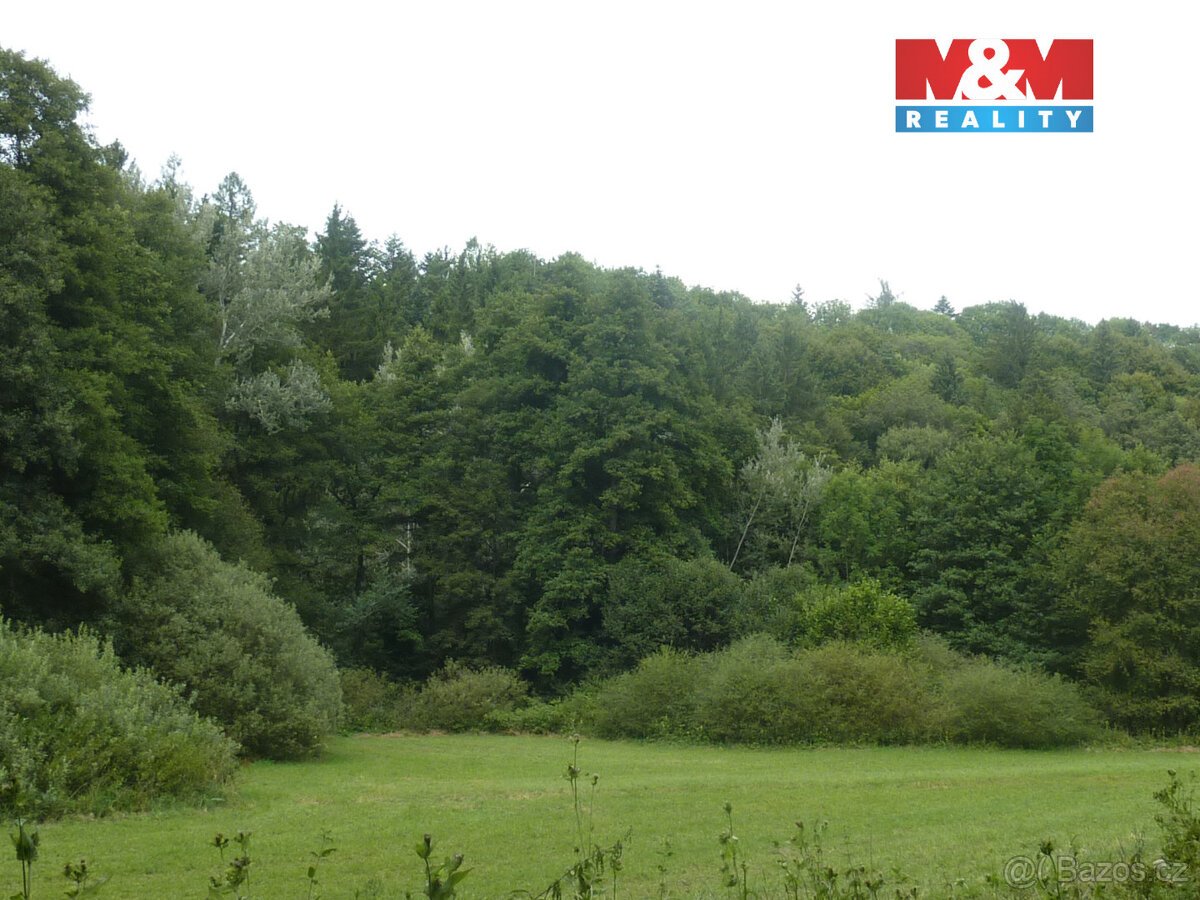 Prodej lesa, 26000 m², Vysoká Srbská, okres Náchod
