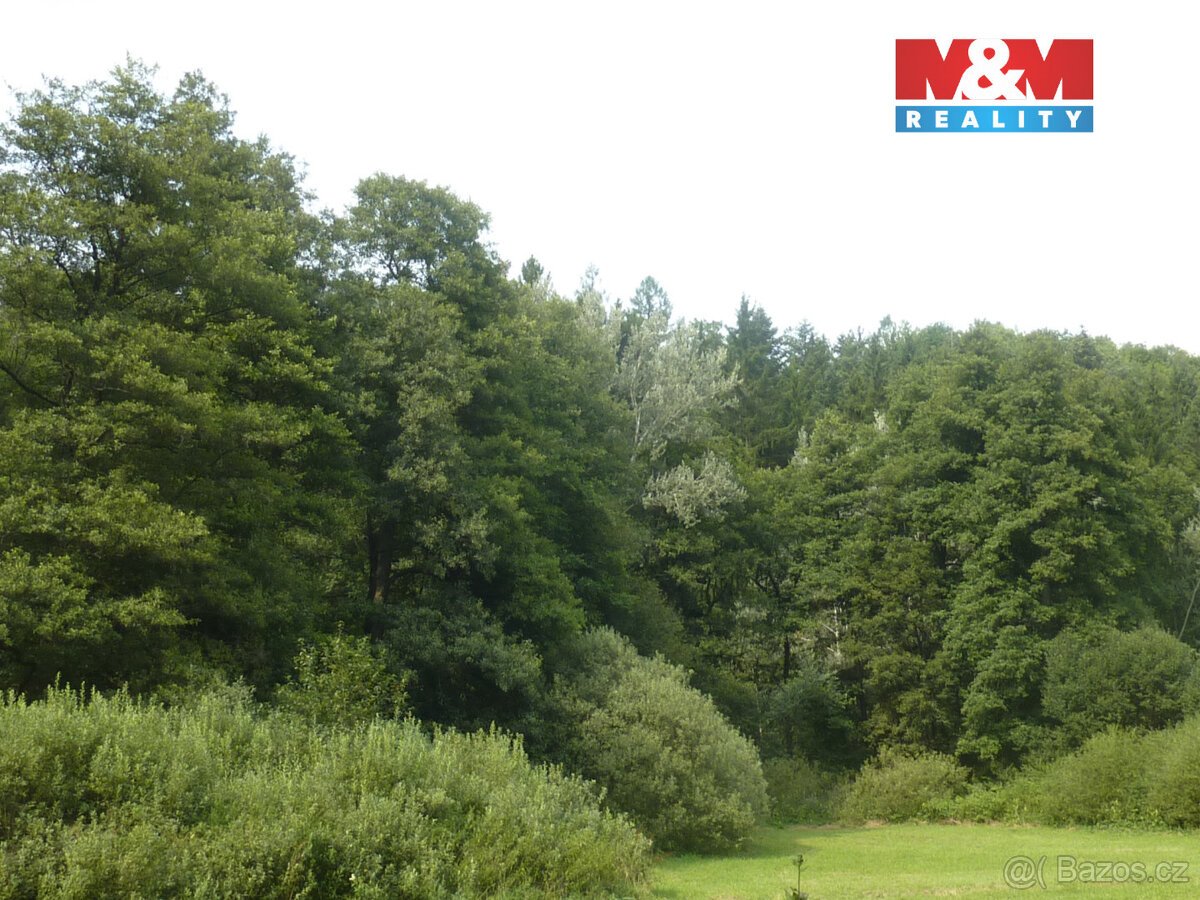 Prodej lesa, 26000 m², Vysoká Srbská, okres Náchod