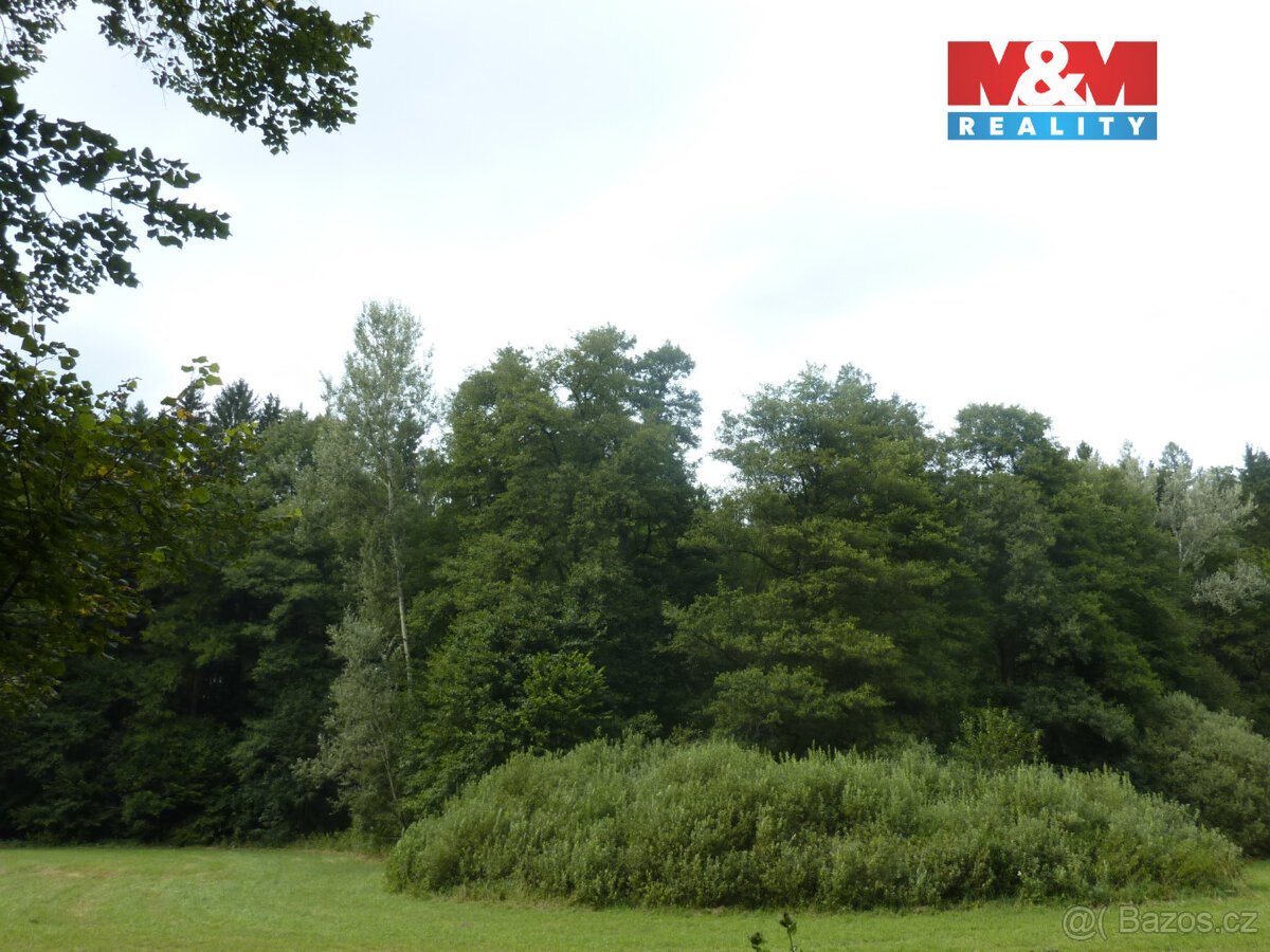 Prodej lesa, 26000 m², Vysoká Srbská, okres Náchod