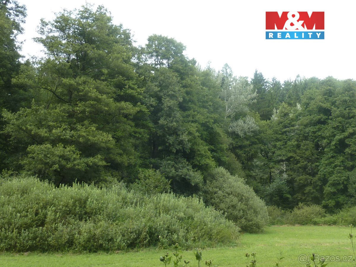 Prodej lesa, 26000 m², Vysoká Srbská, okres Náchod
