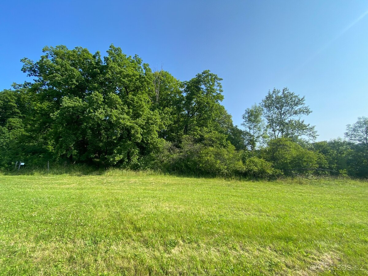 Lesní pozemek Roštění