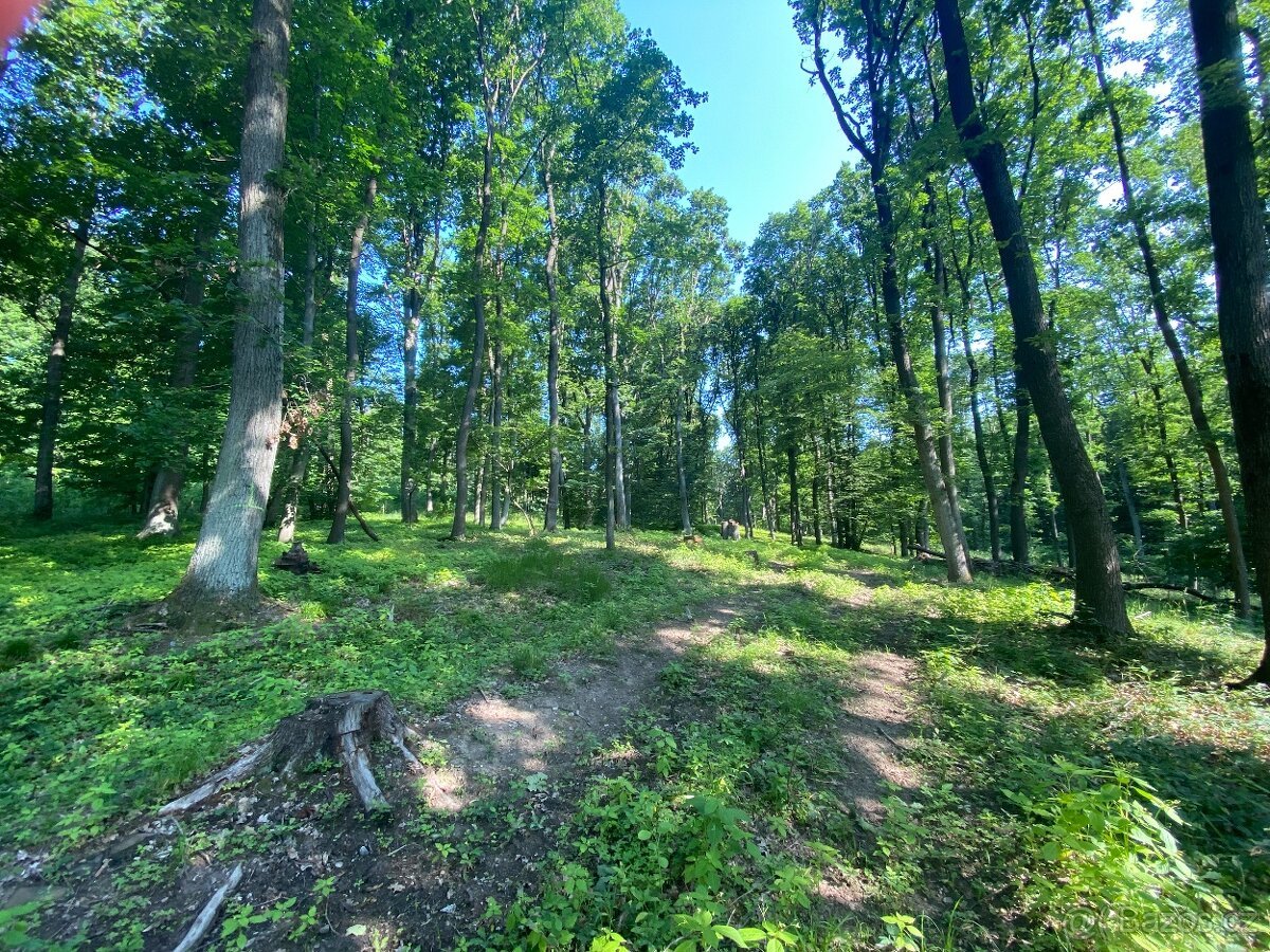 Lesní pozemek Roštění