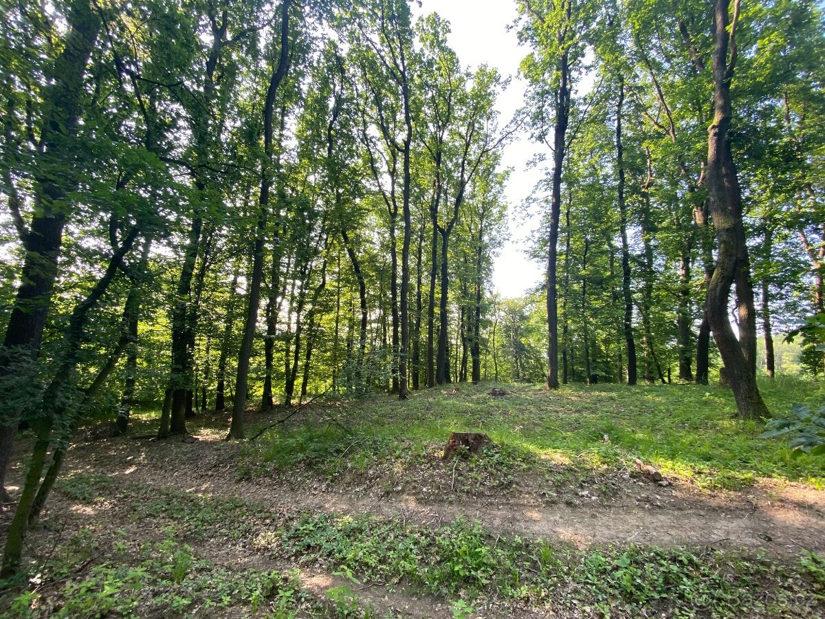 Lesní pozemek Roštění