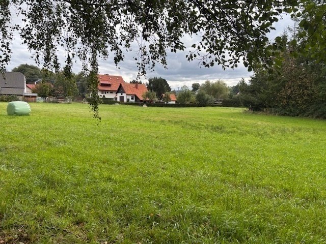 Prodej stavebního pozemku 4.101m2 v obci Borová u Poličky