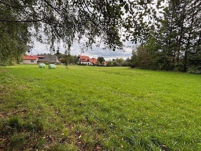 Prodej stavebního pozemku 4.101m2 v obci Borová u Poličky