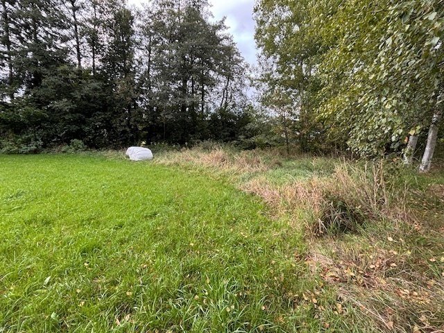 Prodej stavebního pozemku 4.101m2 v obci Borová u Poličky