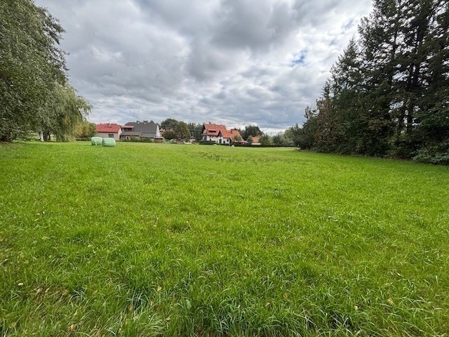 Prodej stavebního pozemku 4.101m2 v obci Borová u Poličky