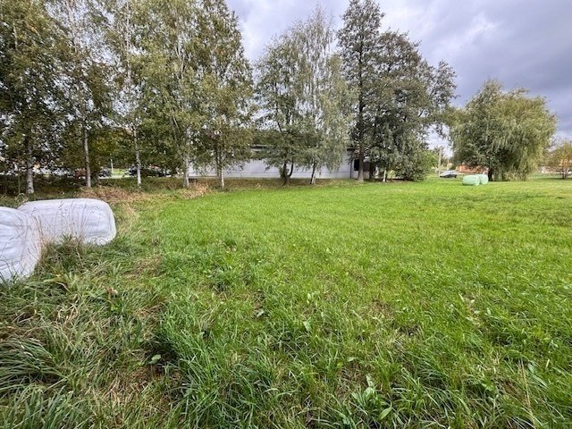 Prodej stavebního pozemku 4.101m2 v obci Borová u Poličky