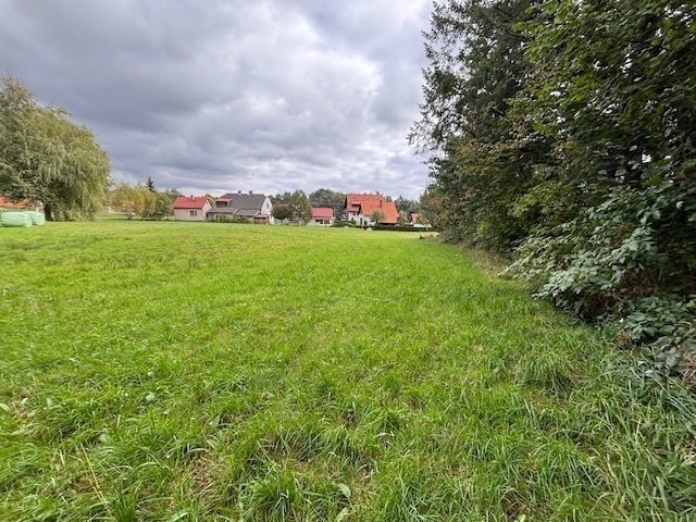 Prodej stavebního pozemku 4.101m2 v obci Borová u Poličky