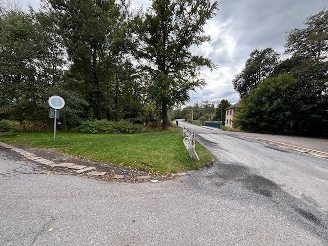 Prodej stavebního pozemku 4.101m2 v obci Borová u Poličky