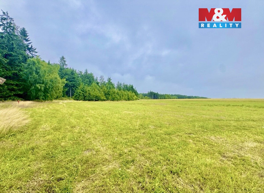 Prodej louky, 13470 m², Buková