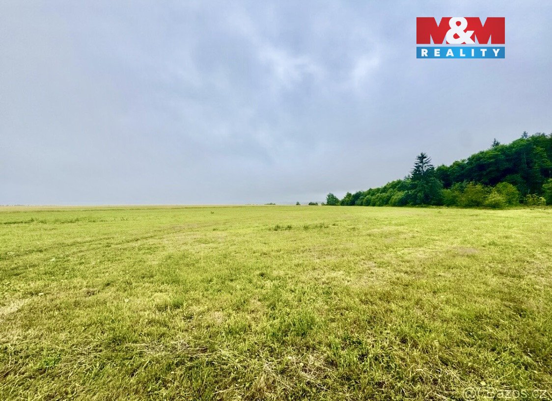 Prodej louky, 13470 m², Buková