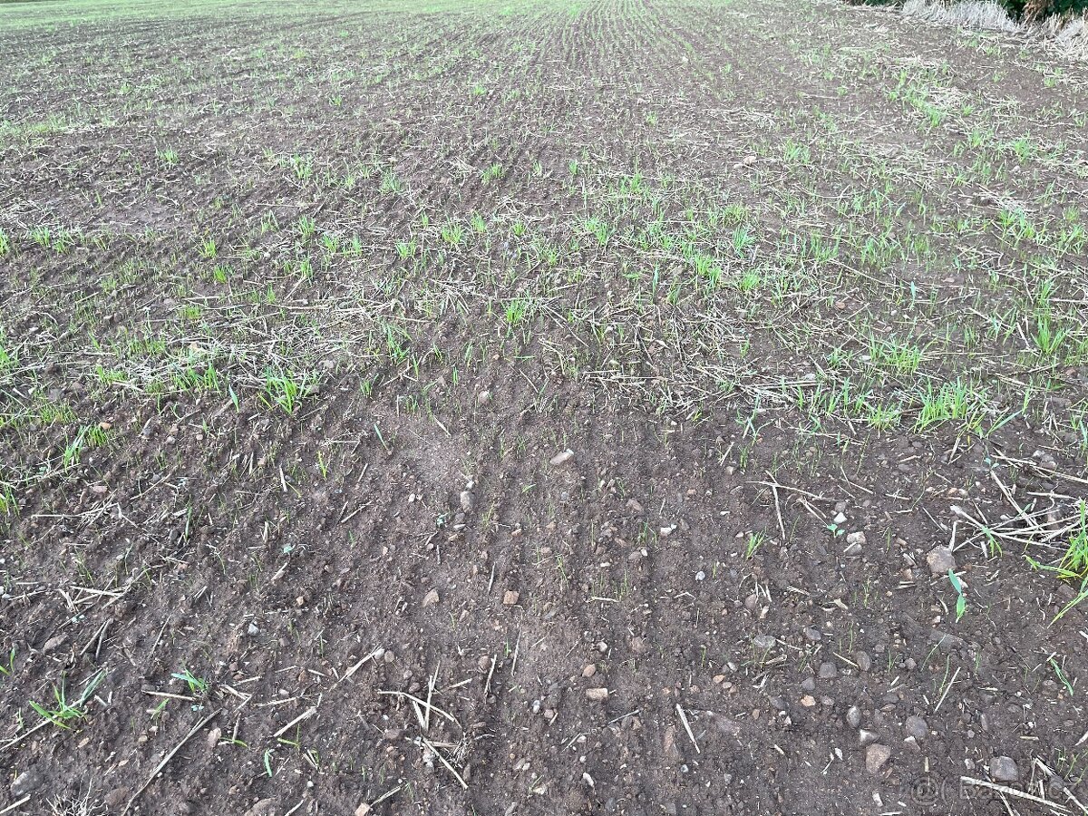 zemědělská půda, pole