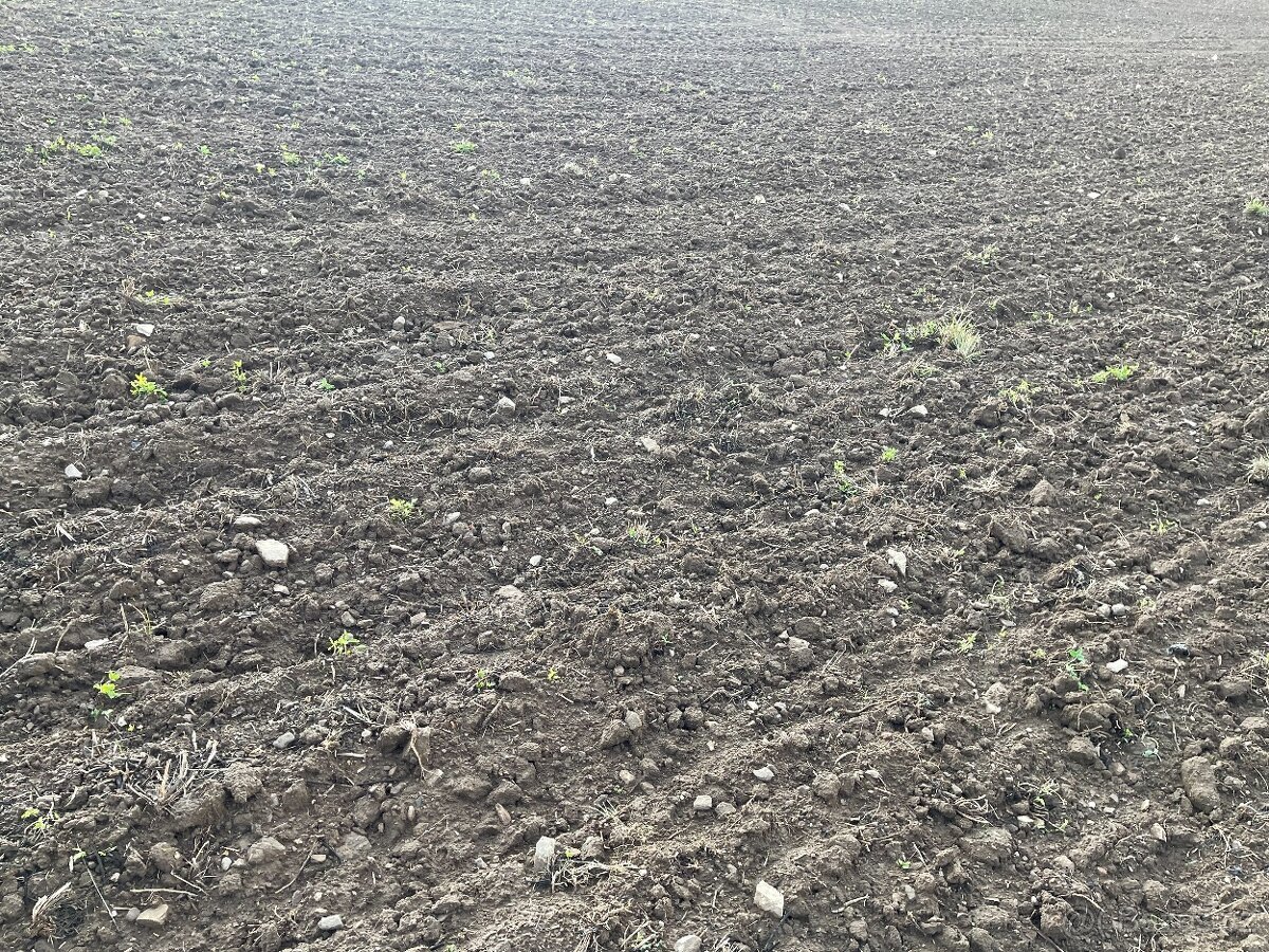 zemědělská půda, pole