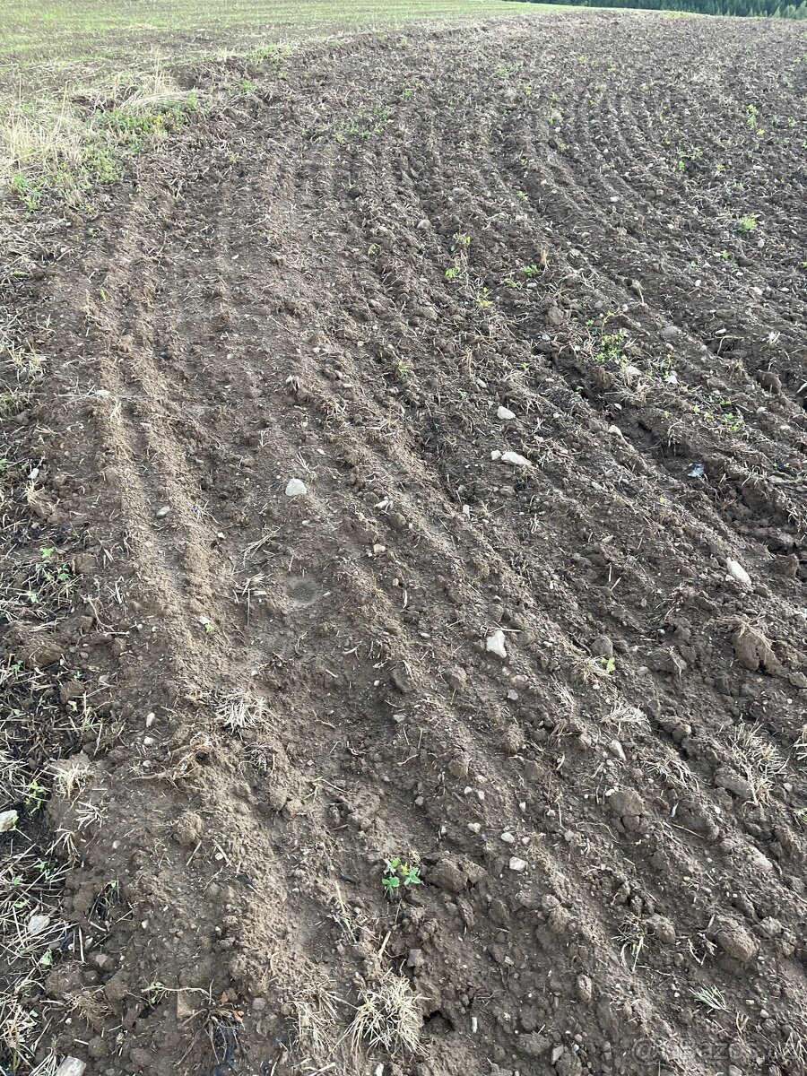 zemědělská půda, pole