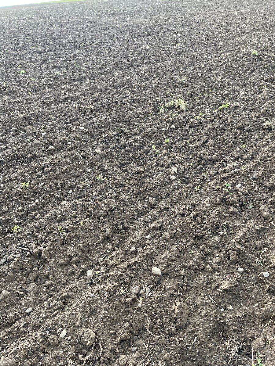 zemědělská půda, pole