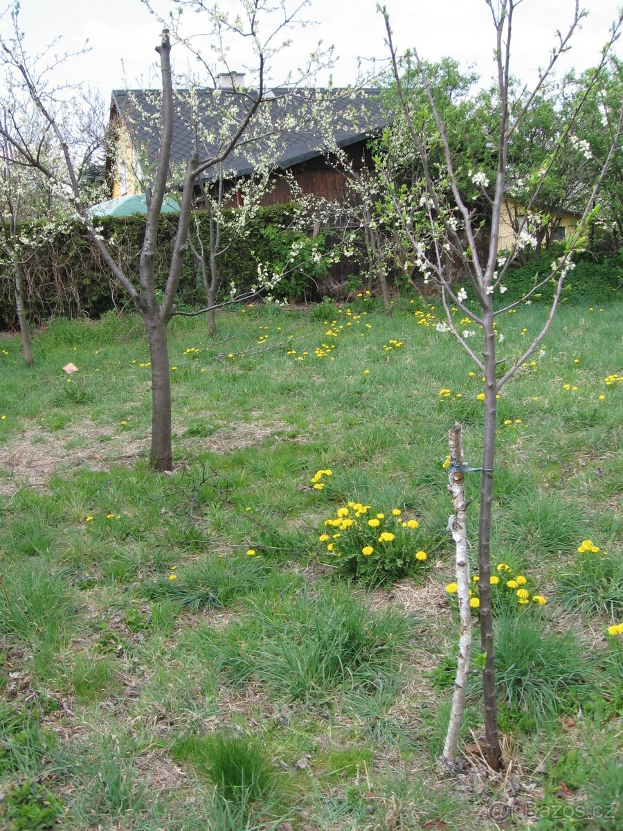 Zahrada - Stavební pozemek