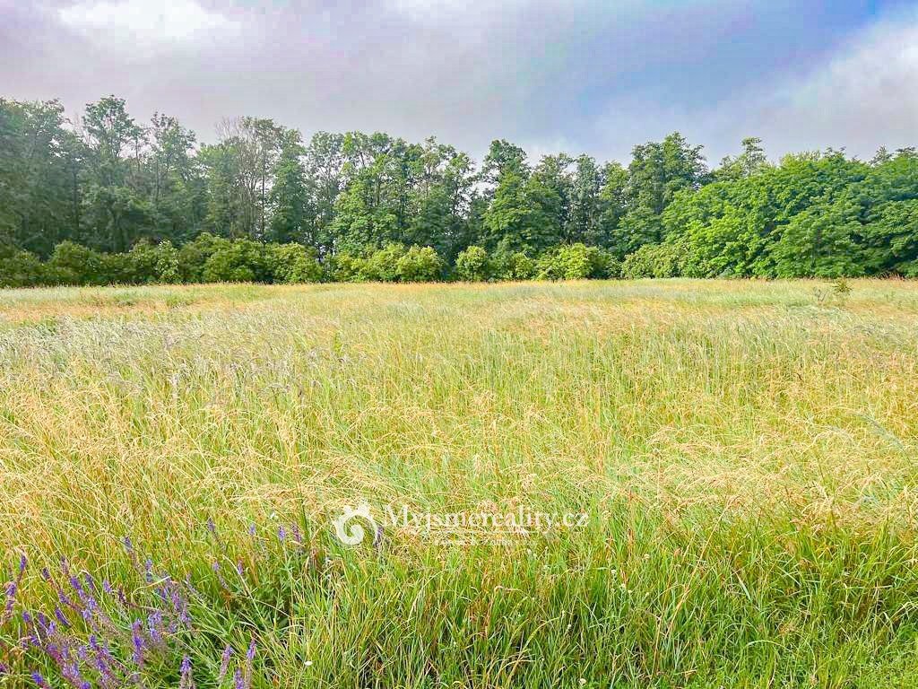 Prodej orné půdy, 184.181 m² - Znojmo, ev.č. MZ25003