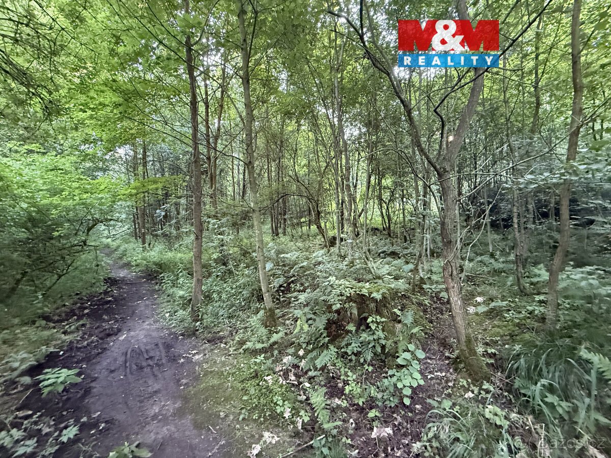 Prodej lesa, 5139 m², Tábor