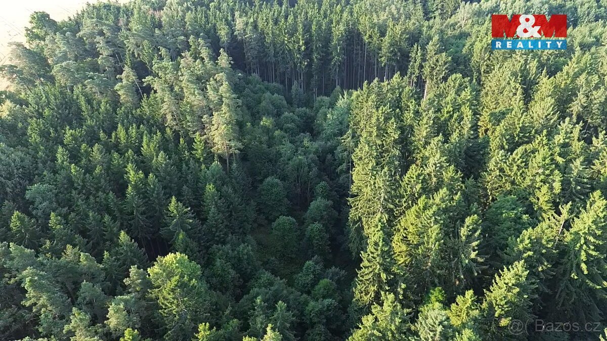 Prodej lesa, 5139 m², Tábor