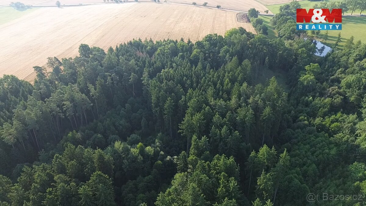 Prodej lesa, 5139 m², Tábor