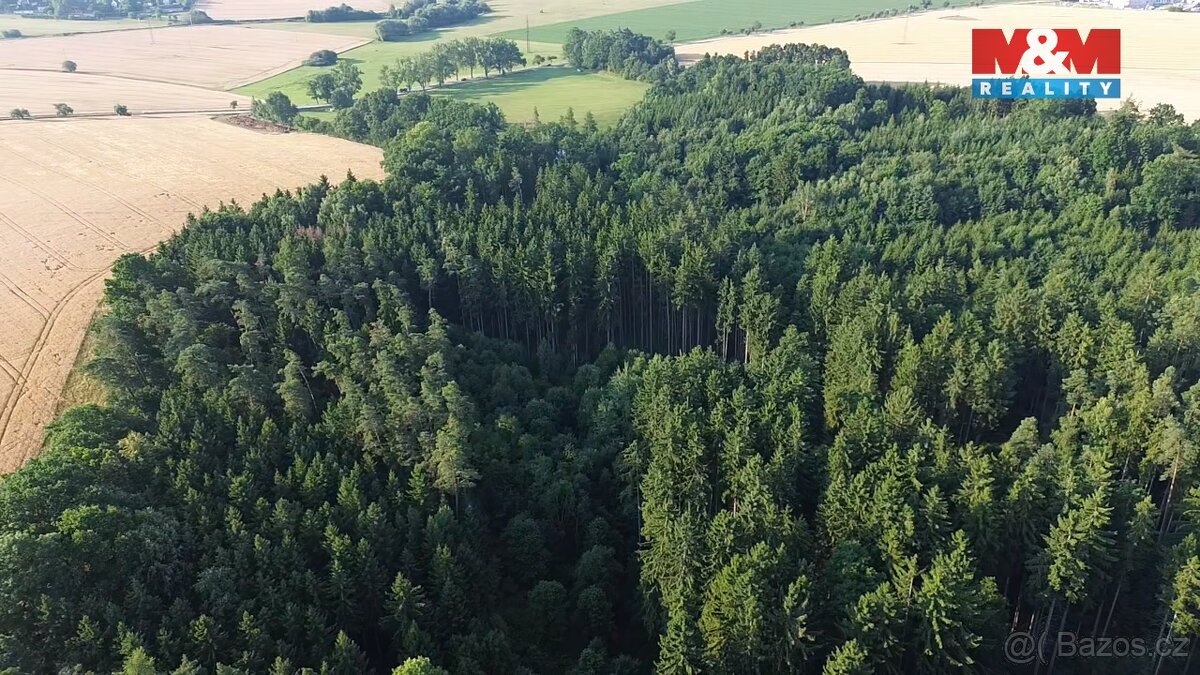 Prodej lesa, 5139 m², Tábor