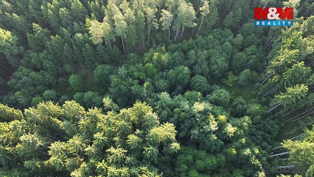 Prodej lesa, 5139 m², Tábor