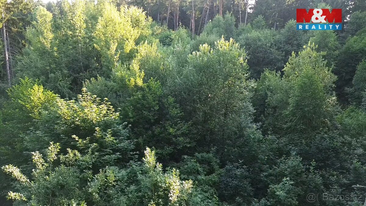 Prodej lesa, 5139 m², Tábor