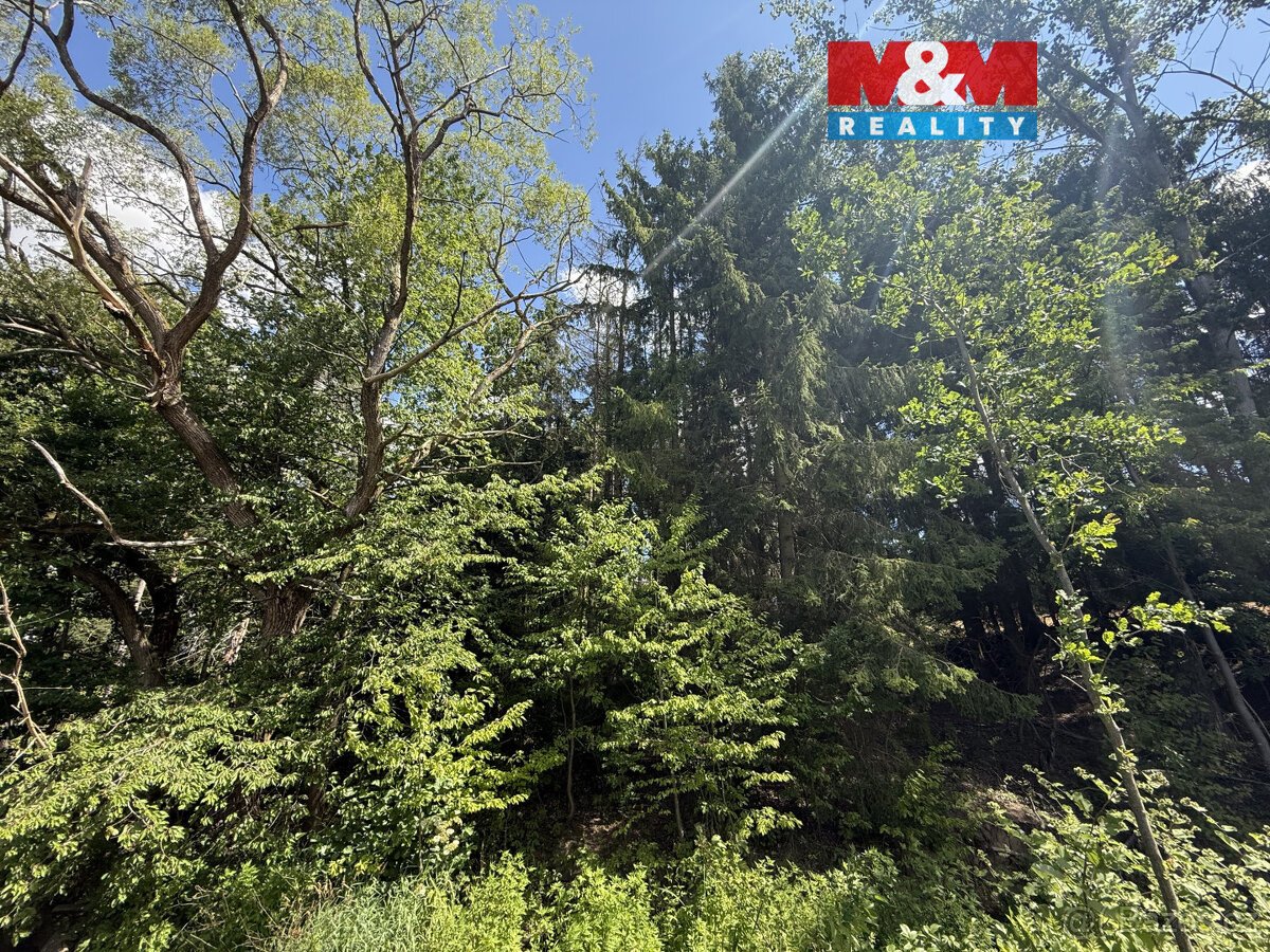 Prodej lesa, 5323 m², Opařany