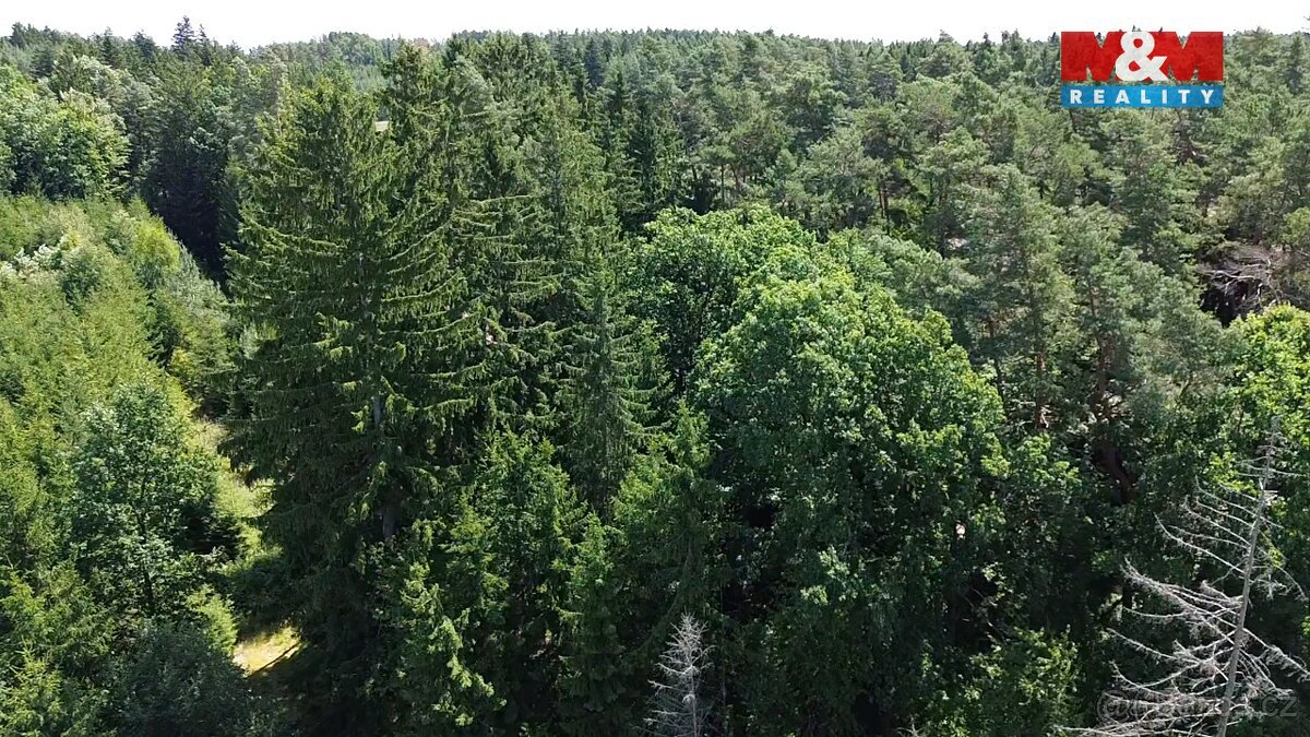 Prodej lesa, 5323 m², Opařany